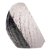 Real Bat Skeleton in Acrylic Heart