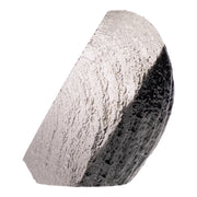 Real Bat Skeleton in Acrylic Heart