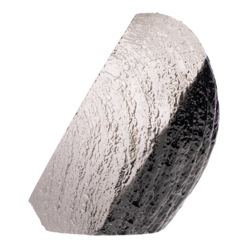 Real Bat Skeleton in Acrylic Heart