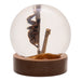Real Spider and Fly in Acrylic Globe