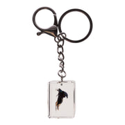 Real Chafer Beetle in Acrylic Cube Keychain