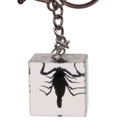 Real Black Scorpion in Acrylic Cube Keychain
