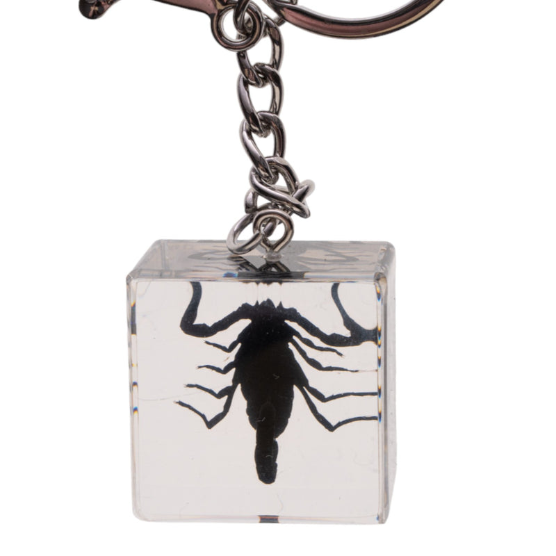 Real Black Scorpion in Acrylic Cube Keychain