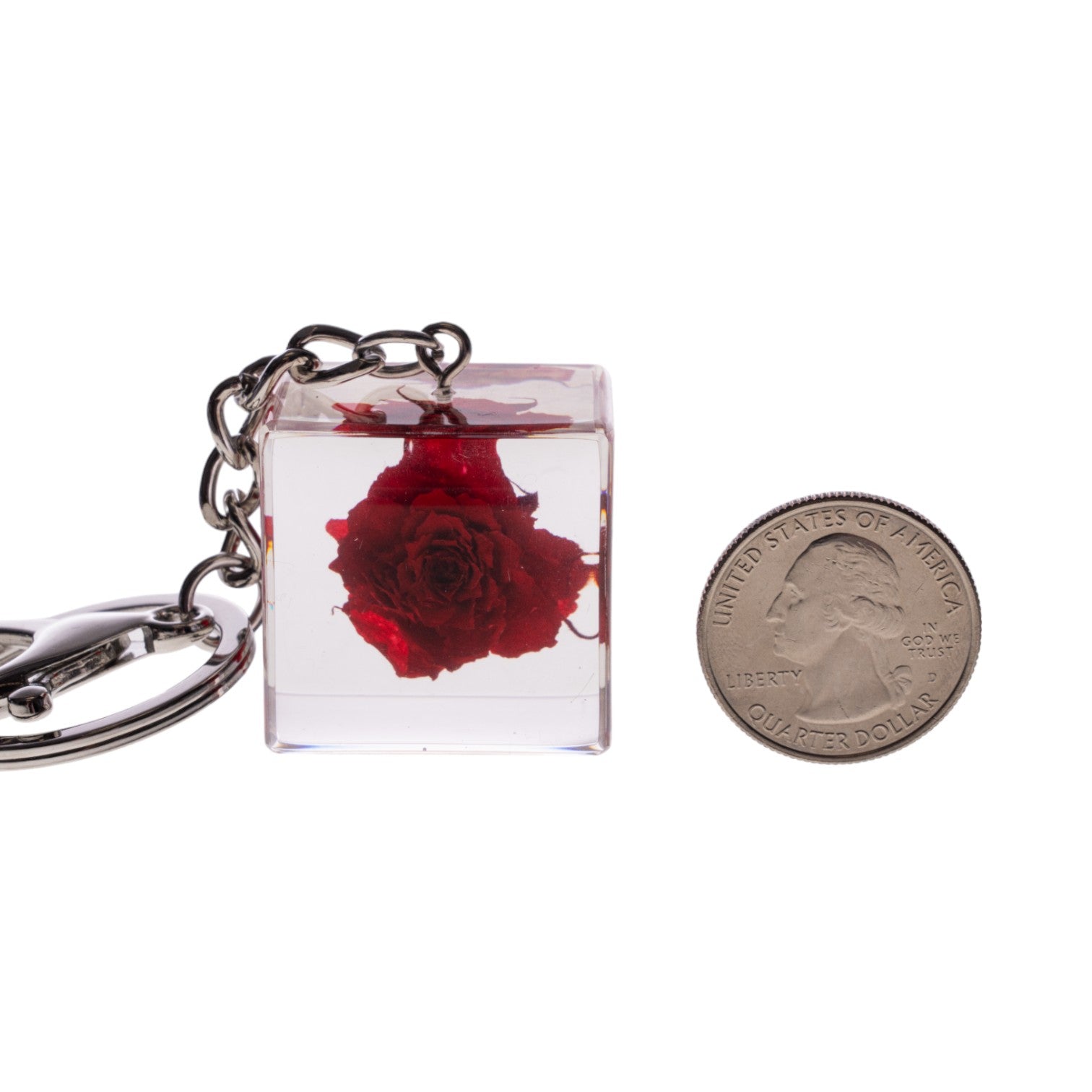 Real Red Rose Keychain For Sale — Skulls Unlimited International, Inc.