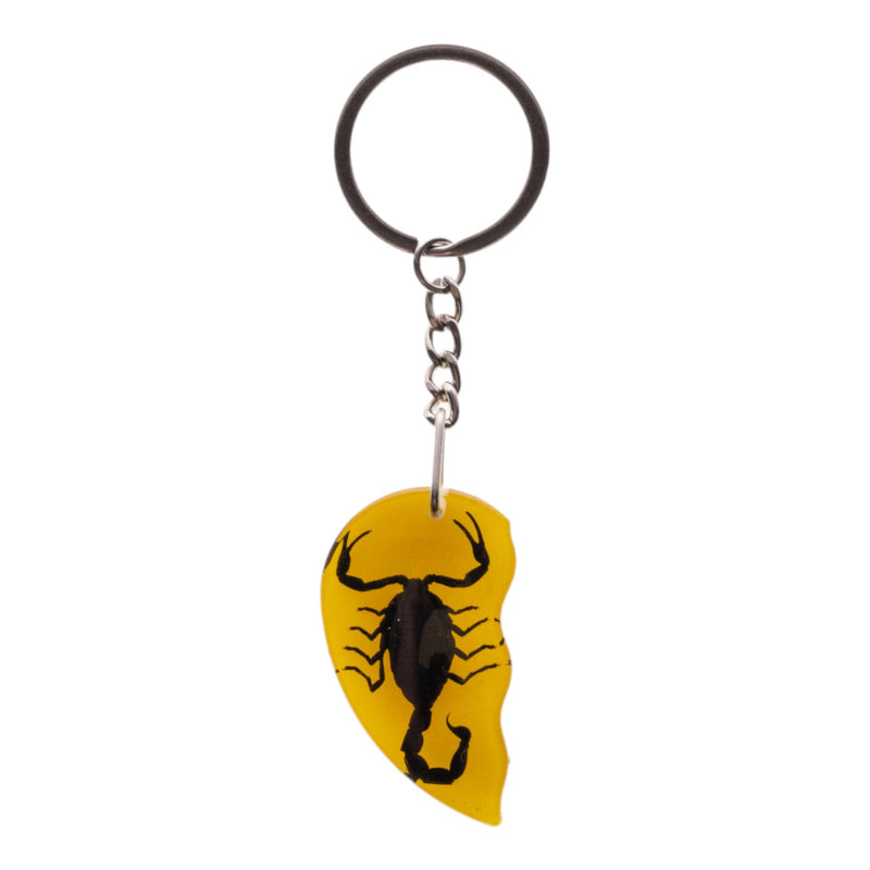 Real Scorpion Friendship Keychain in Acrylic - Single