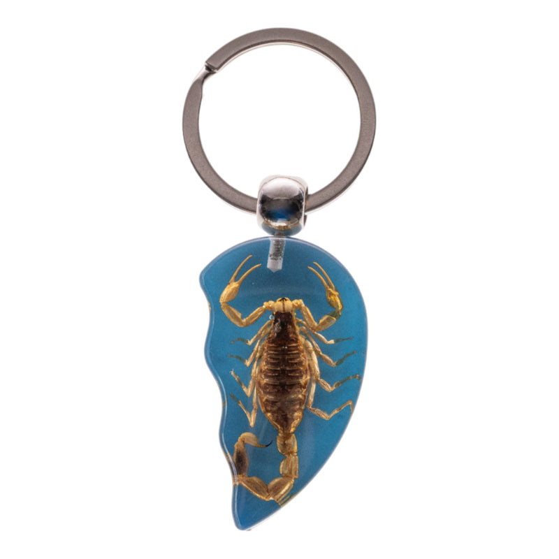 Real Scorpion Friendship Keychain in Acrylic - Single