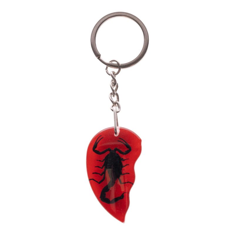 Real Scorpion Friendship Keychain in Acrylic - Single
