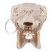 Real Waterbuck Skull - Female