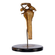 Real Human Left Shoulder Joint on Stand