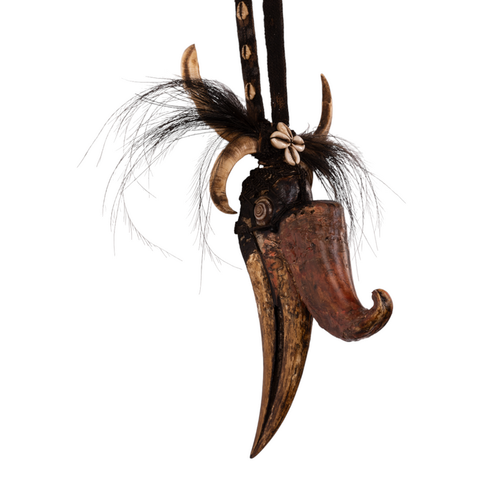 Real Rhinoceros Hornbill Skull Tribal Necklace — Skulls Unlimited