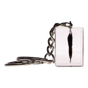 Real Lanternfly in Acrylic Cube Keychain