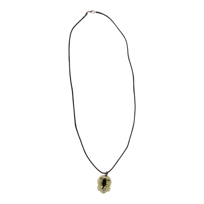 Real Black Scorpion in Acrylic Skull Necklace - Glow