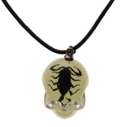 Real Black Scorpion in Acrylic Skull Necklace - Glow