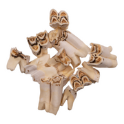 Real Eland Tooth - Single