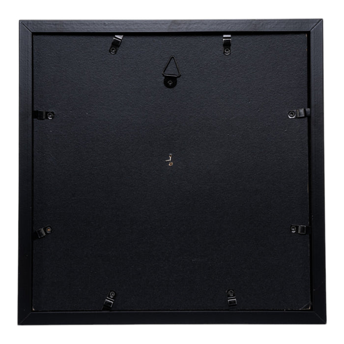 Real Human Infant Half Skull in Shadow Box