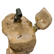 Real Human Right Leg - Partial, Articulated