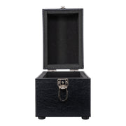 Human Skull Carrying Case