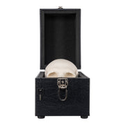 Human Skull Carrying Case