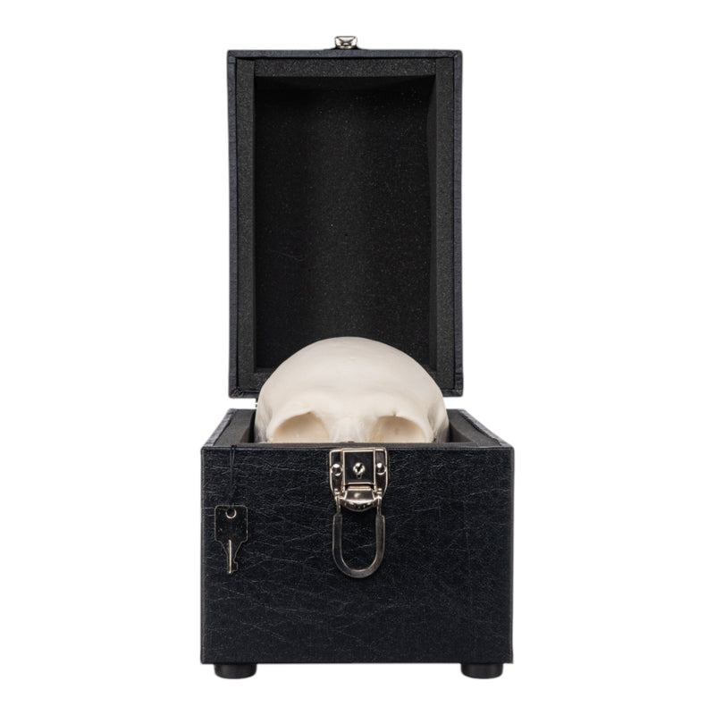 Human Skull Carrying Case
