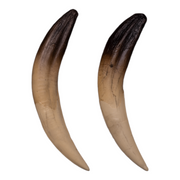 Replica Sabertooth Cat Saber