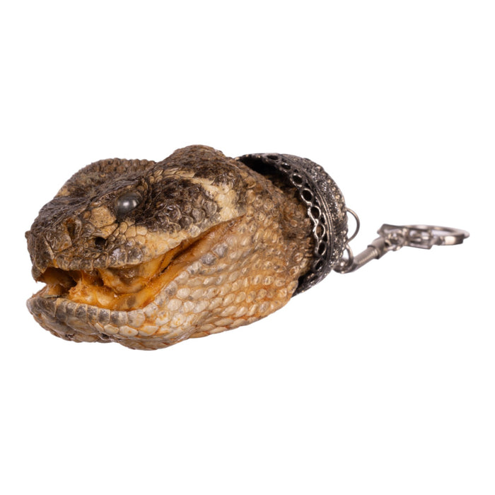 Real Freeze-dried Rattlesnake Keychain