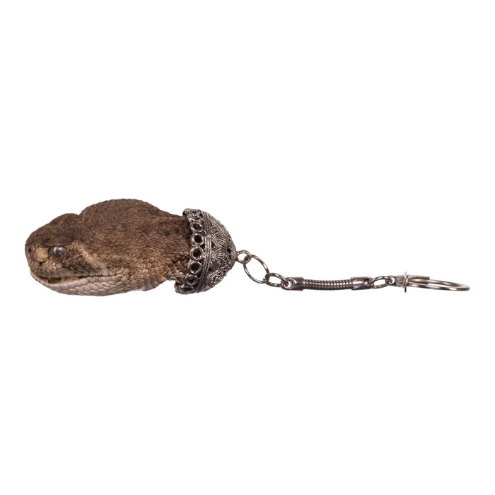 Real Freeze-dried Rattlesnake Keychain