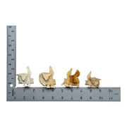 Real Human Child Maxillary Bone - Single