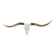 Replica Longhorn Skull