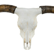 Replica Longhorn Skull