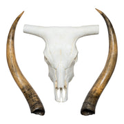 Replica Longhorn Skull