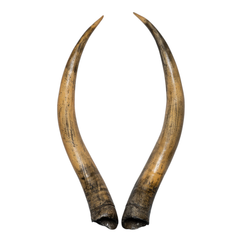 Replica Longhorn Skull