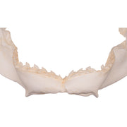 Replica Tiger Shark Jaw