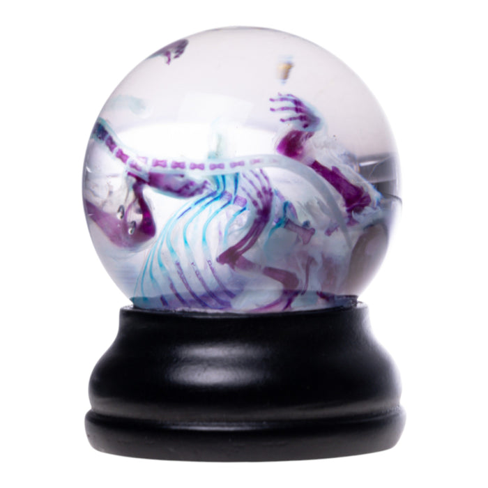 Real Diaphonized Mouse Skeleton - Globe