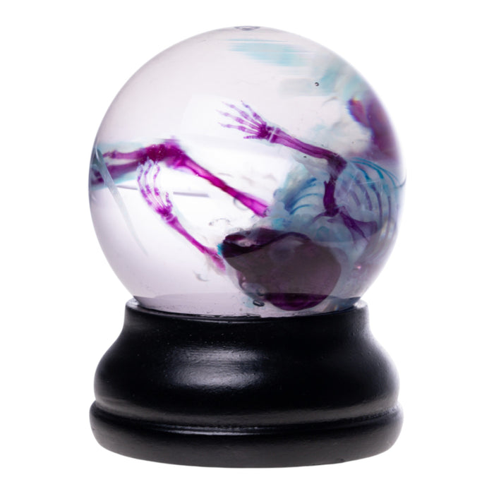 Real Diaphonized Mouse Skeleton - Globe