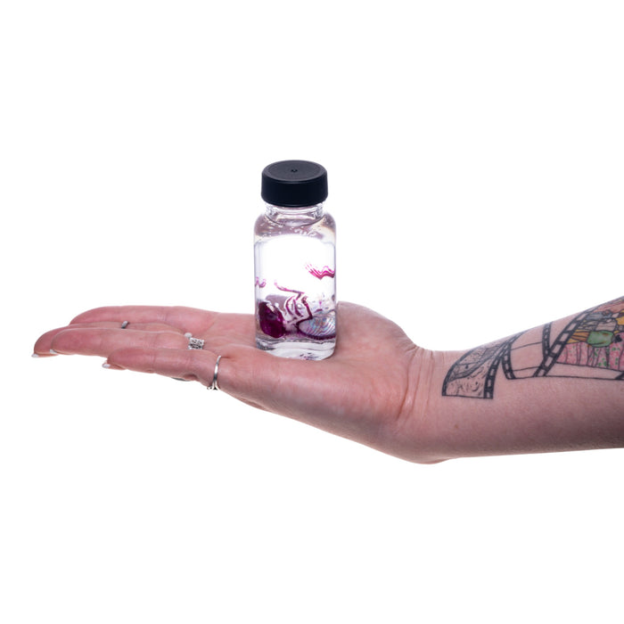 Real Diaphonized Mouse Skeleton