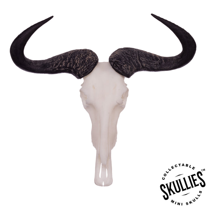 SKULLIES - Miniature Blue Wildebeest Skull