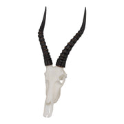 SKULLIES - Miniature Blesbok Skull