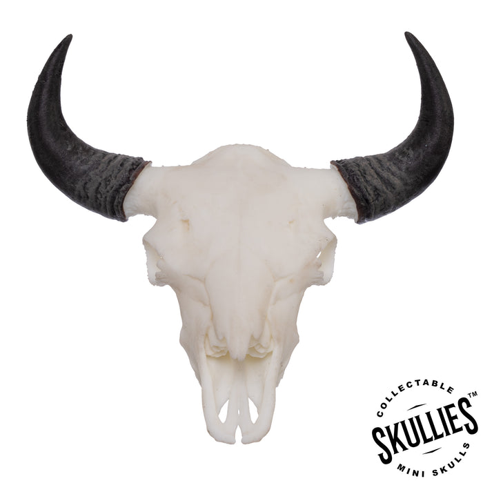 SKULLIES - Miniature American Bison Skull