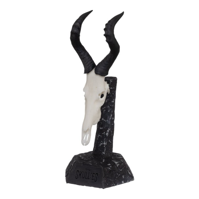 SKULLIES - Miniature Red Hartebeest Skull