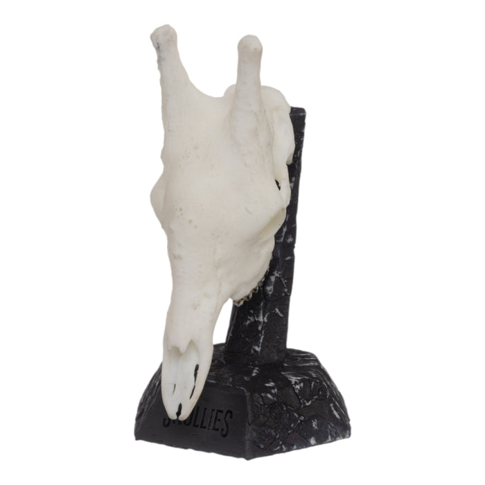 SKULLIES - Miniature Giraffe Skull