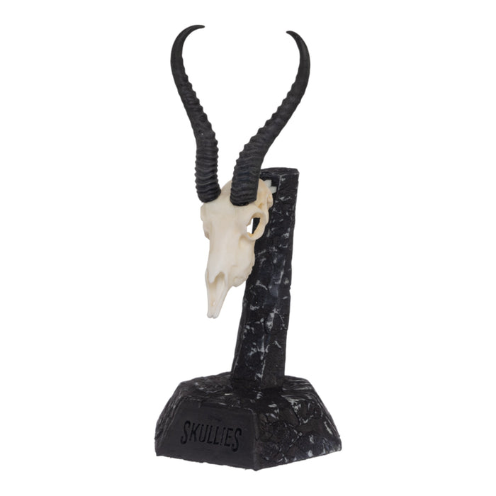 SKULLIES - Miniature Springbok Skull