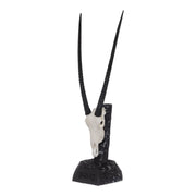 SKULLIES - Miniature Gemsbok Skull