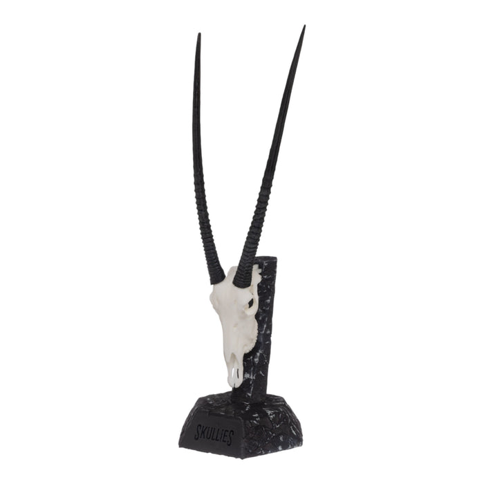 SKULLIES - Miniature Gemsbok Skull