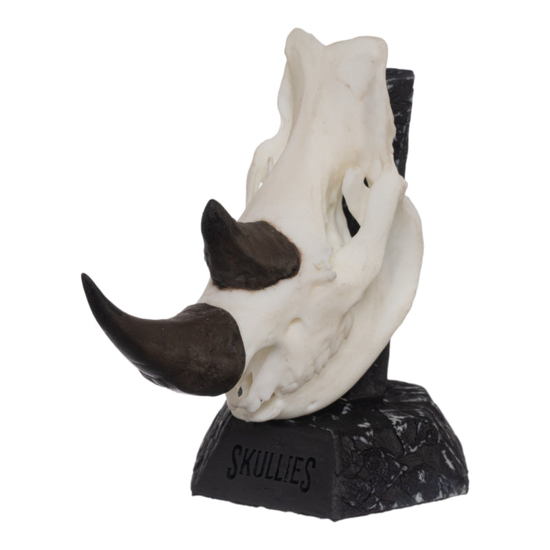 SKULLIES - Miniature Rhino Skull