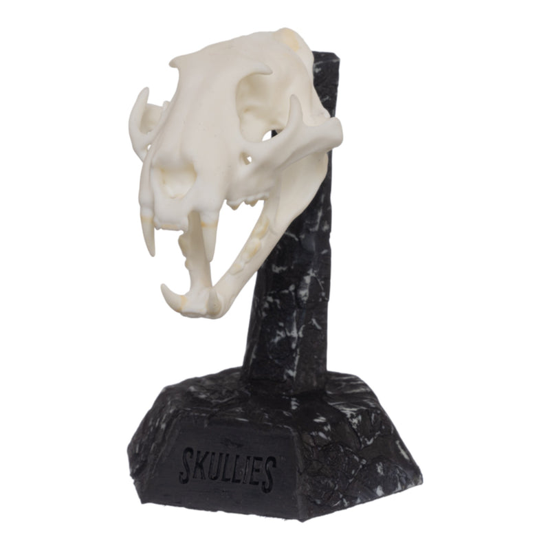 SKULLIES - Miniature Leopard Skull