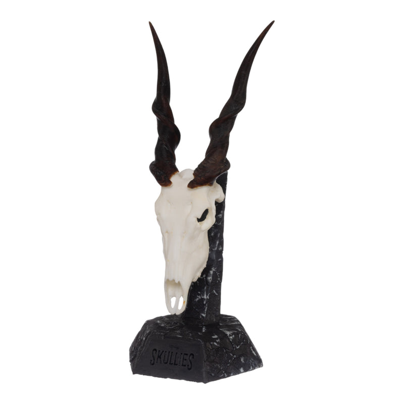 SKULLIES - Miniature Eland Skull