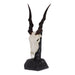 SKULLIES - Miniature Eland Skull
