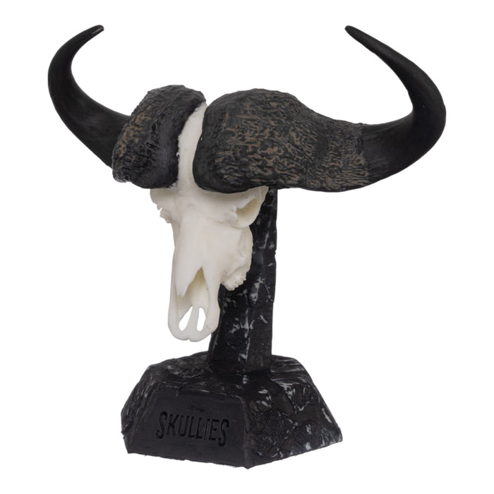 SKULLIES - Miniature Cape Buffalo Skull