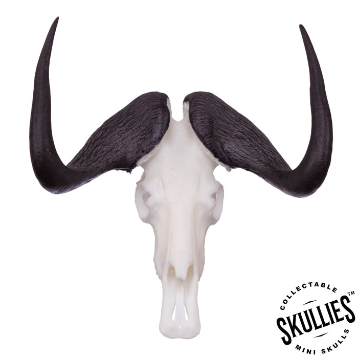 SKULLIES - Miniature Black Wildebeest Skull