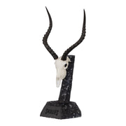SKULLIES - Miniature Impala Skull